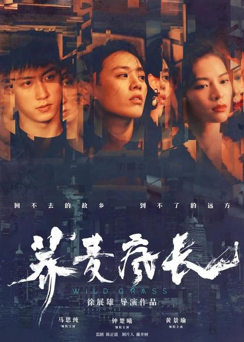 弗朗什-孔泰大学学士毕业证